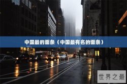 中国最的面条（中国最有名的面条）