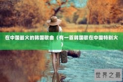 在中国最火的韩国歌曲（有一首韩国歌在中国特别火）