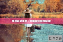 中国最完美的（中国最完美的版图）
