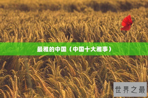 最雅的中国（中国十大雅事）