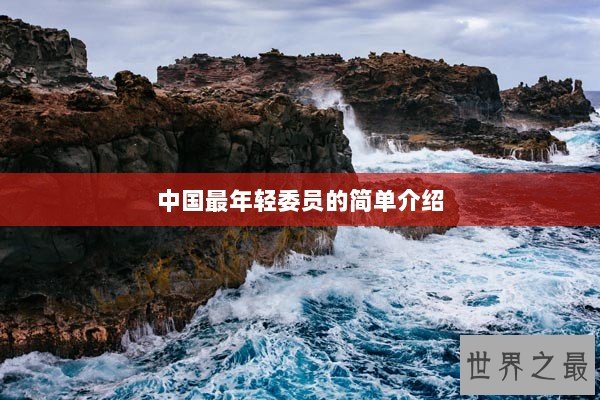 中国最年轻委员的简单介绍