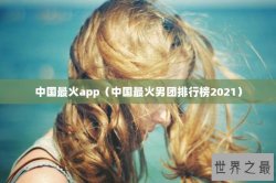 中国最火app（中国最火男团排行榜2021）