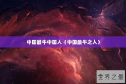 中国最牛中国人（中国最牛之人）