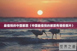最值钱的中国邮票（中国最值钱的邮票有哪些图片）