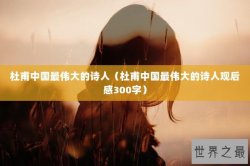 杜甫中国最伟大的诗人（杜甫中国最伟大的诗人观后感300字）
