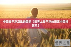中国最干净卫生的国家（世界上最干净的国家中国排第几）