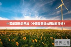 中国最赚钱的网站（中国最赚钱的网站排行榜）