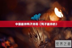 中国最帅鸭子帅哥（鸭子最帅的）