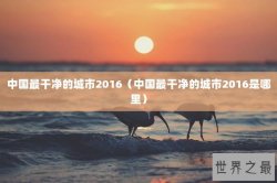 中国最干净的城市2016（中国最干净的城市2016是哪里）