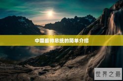中国最帅总统的简单介绍