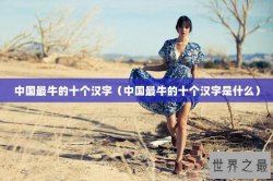 中国最牛的十个汉字（中国最牛的十个汉字是什么）