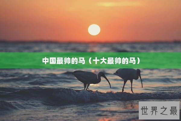 中国最帅的马（十大最帅的马）