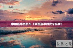 中国最牛的货车（中国最牛的货车品牌）