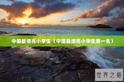 中国最漂亮小学生（中国最漂亮小学生第一名）