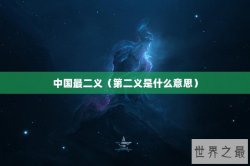 中国最二义（第二义是什么意思）