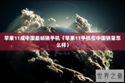 苹果11成中国最畅销手机（苹果11手机在中国销量怎么样）