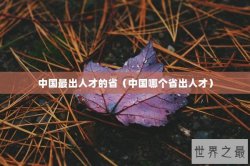 中国最出人才的省（中国哪个省出人才）