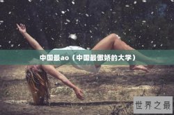 中国最ao（中国最傲娇的大学）