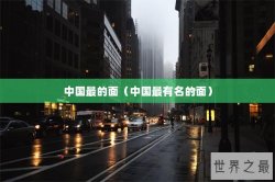 中国最的面（中国最有名的面）