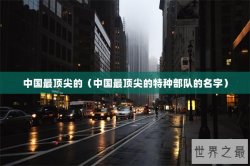 中国最顶尖的（中国最顶尖的特种部队的名字）