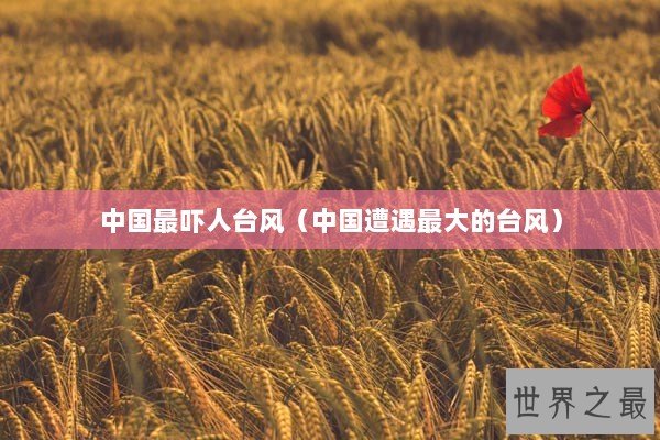 中国最吓人台风(中国遭遇最大的台风) 中国最吓人台风(中国遭遇最大的台风)