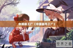 中国最工厂（中国最牛工厂）