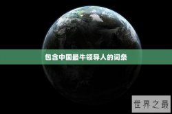 包含中国最牛领导人的词条