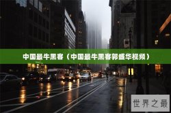 中国最牛黑客（中国最牛黑客郭盛华视频）