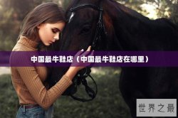 中国最牛鞋店（中国最牛鞋店在哪里）