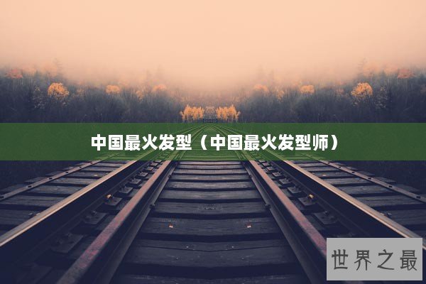 中国最火发型（中国最火发型师）