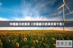中国最火的演员（中国最火的演员前十名）