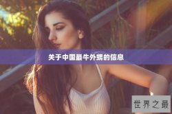 关于中国最牛外甥的信息