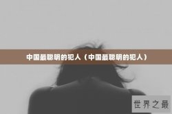 中国最聪明的犯人（中国最聪明的犯人）
