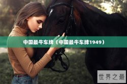 中国最牛车牌（中国最牛车牌1949）