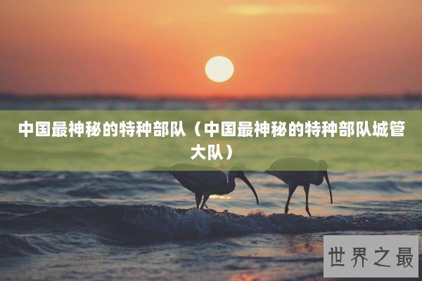 中国最神秘的特种部队（中国最神秘的特种部队城管大队）