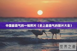 中国最霸气的一幅照片（史上最霸气的图片大全）