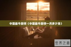 中国最牛厨师（中国最牛厨师一月多少钱）