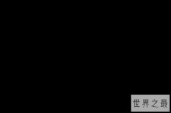 中国最顶级的圈子（中国最顶级的圈子图解）