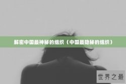 解密中国最神秘的组织（中国最隐秘的组织）