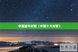 中国最牛村官（中国十大村官）