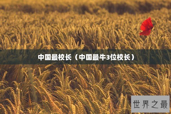 中国最校长（中国最牛3位校长）