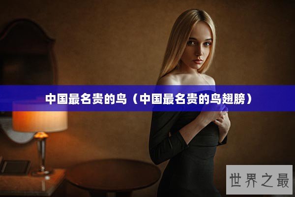 中国最名贵的鸟(中国最名贵的鸟翅膀) 中国最名贵的鸟(中国最名贵的鸟翅膀)