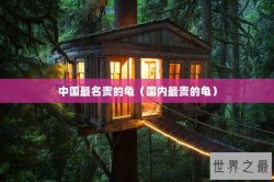中国最名贵的龟（国内最贵的龟）