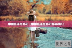 中国最漂亮的花（中国最漂亮的花滑运动员）