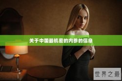 关于中国最机密的内参的信息