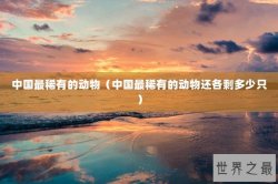 中国最稀有的动物（中国最稀有的动物还各剩多少只）