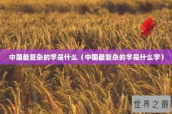 中国最复杂的字是什么（中国最复杂的字是什么字）