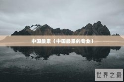 中国最累（中国最累的专业）