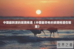 中国最刺激的玻璃栈道（中国最恐怖的玻璃栈道在哪里）