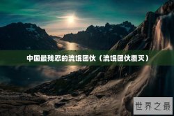 中国最残忍的流氓团伙（流氓团伙覆灭）